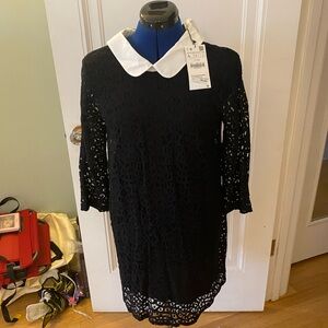 Zara Black Lace Dress with White Collar